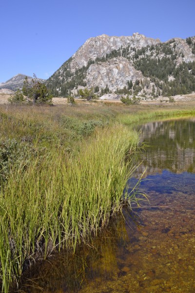 Near Arndt Lake