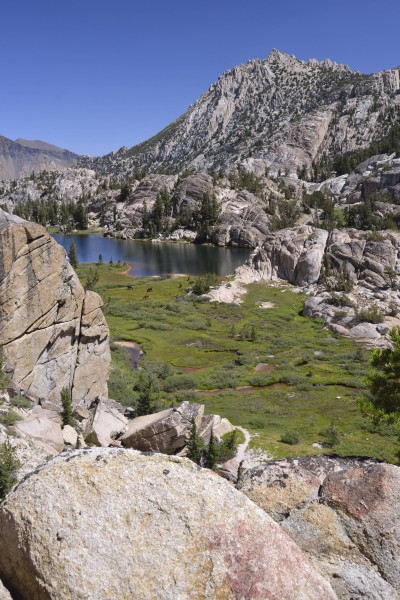 Crown Lake with Llamas Grazing