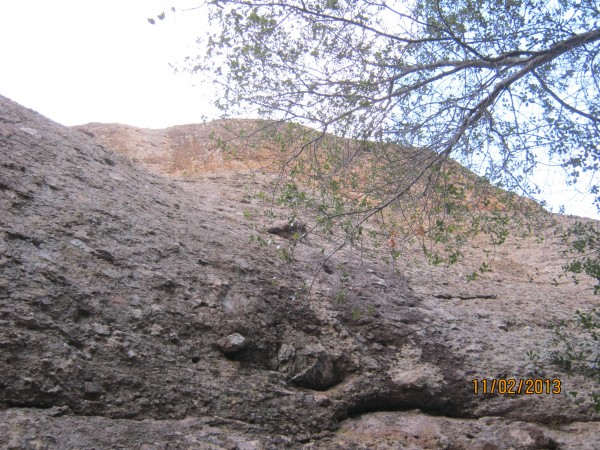 mark leading pitch 1