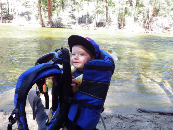 a Bear sighting near the merced river