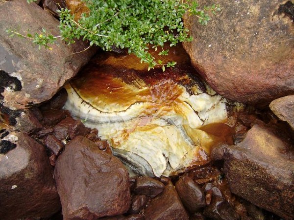 Marble in the rough.