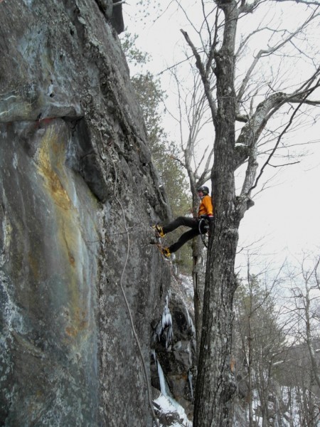 Tree-assisted rest