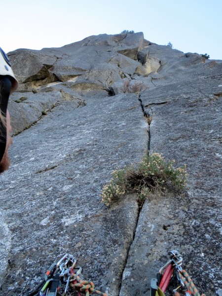 Looking up at Pitch 7