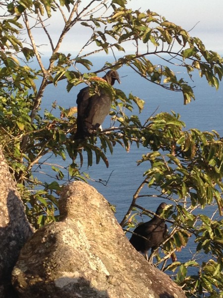 Chillin with the birdies!