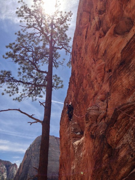 tree pitch, Touchstone