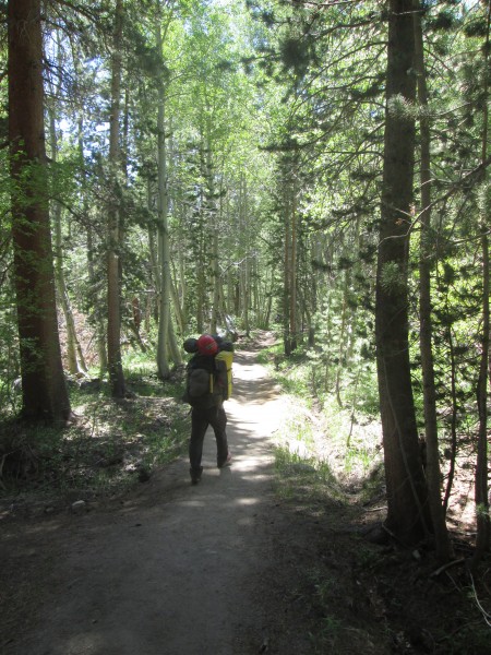 North Fork of the Big Pine Trail