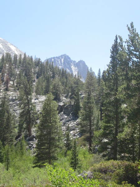 Temple Crag from North Fork of the Big Pine Trail