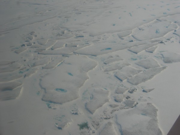 pack ice floes refrozen in 1 or 2 year old young ice