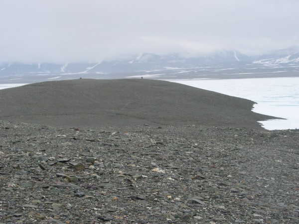 Kaffeklubbem Island