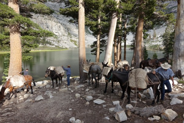 Mules mean pillows, thick sleeping pads and almost plenty of wine