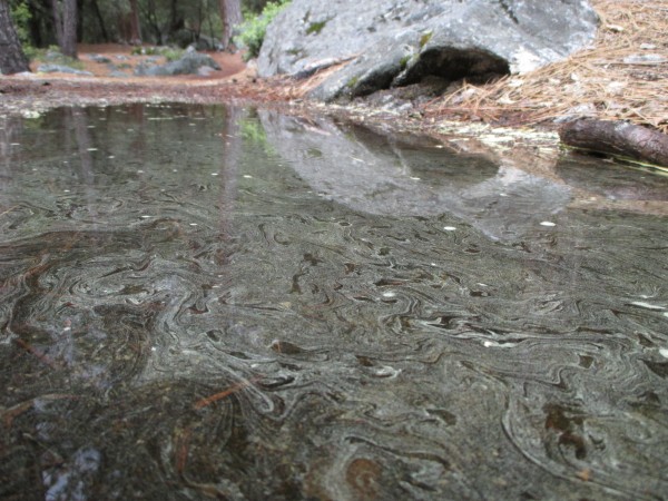 macro puddle