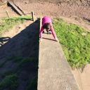 Tricked the kids into a little climbing! - Click for details