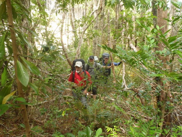 Clark, Keegan and Doug negotiating the rain forest.