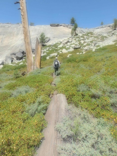 Walking the plank above certain thorny doom...