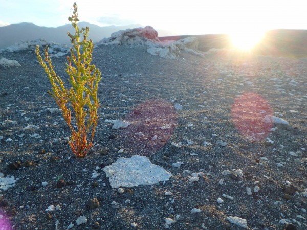 If you haven't been to Mono lake, go.  It's a special place which embo...