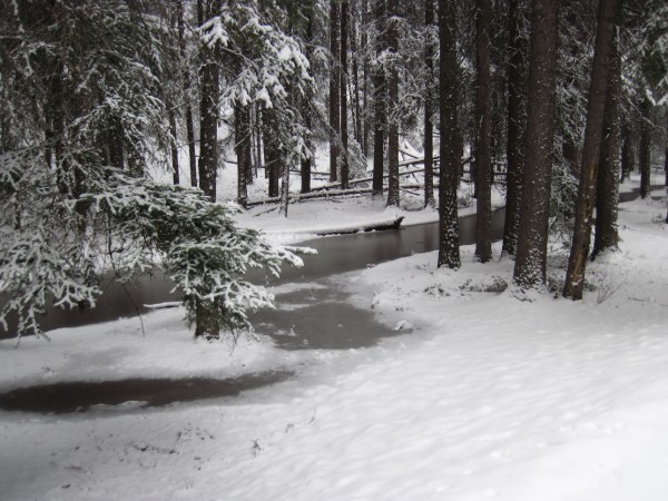 Snowed a few inches overnight in Canmore and Banff &#40;4/12/14&#41;.