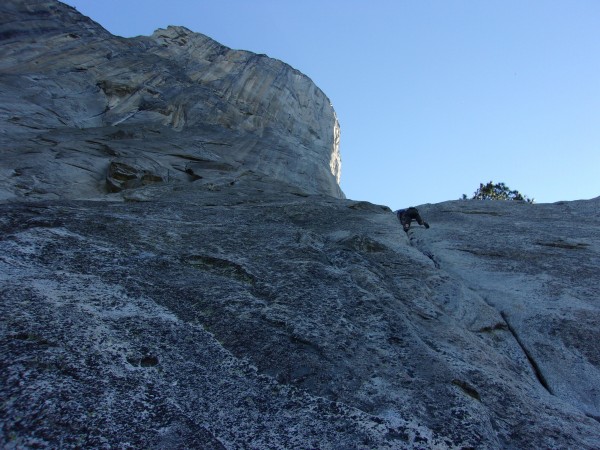 Finally  pine line on  EL CAPITAN!