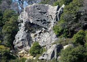 Castle Rock - Center Face - Goat Rock 5.8 - Bay Area, California USA. Click to Enlarge