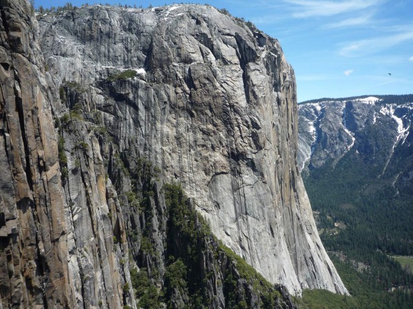 Great view of the West Face of El Capitan. Still some hints of snow on...