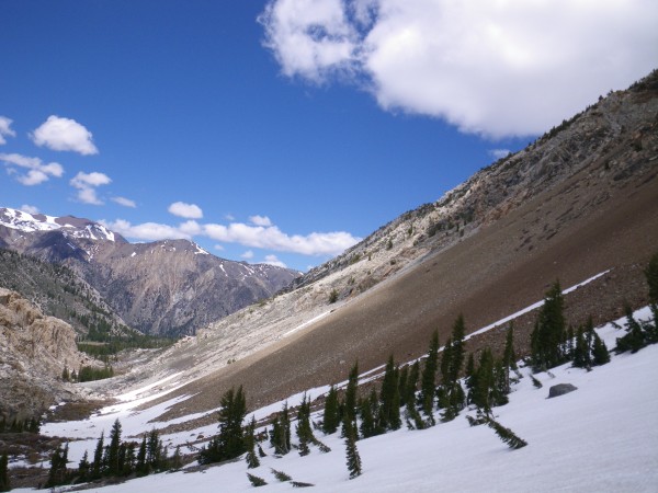 Near the col, ~9000'-ish in Horse Creek Canyon