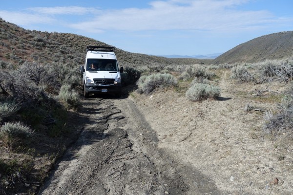 Road / Creekbed