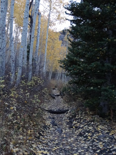 Catching the end of fall colors on the approach