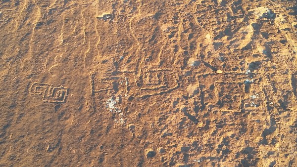 Found some cool petroglyphs, on flat ground, which is unusual.