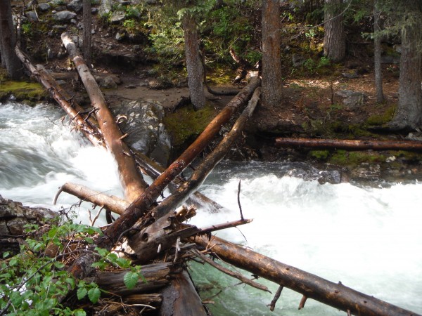 Elk Creek crossing