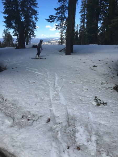 Daughter leading the forest route finding, committed before the hill s...