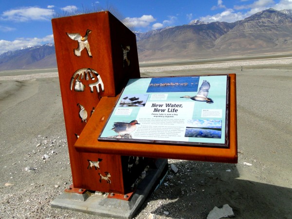 Interpretive display on the trail.