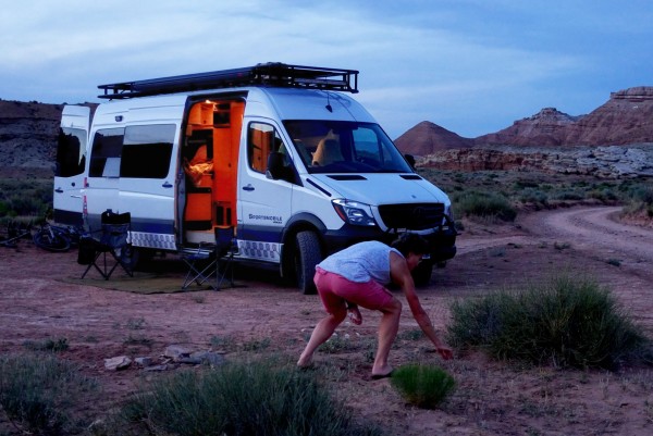 Betsy and the rattlesnake