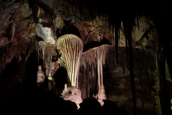 The depths of Lehman Caves