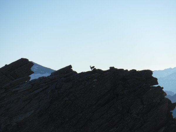 a much better alpinist than us monitors our progress