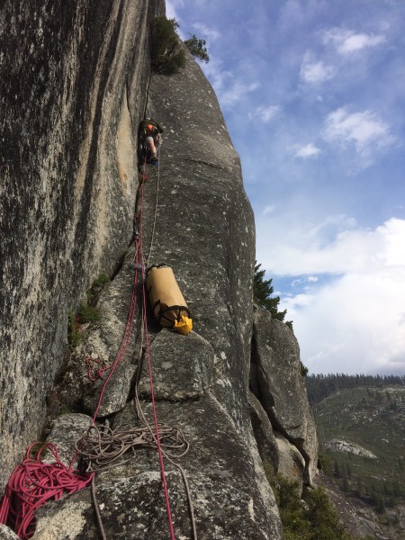 Heading for another tree battle on pitch 10