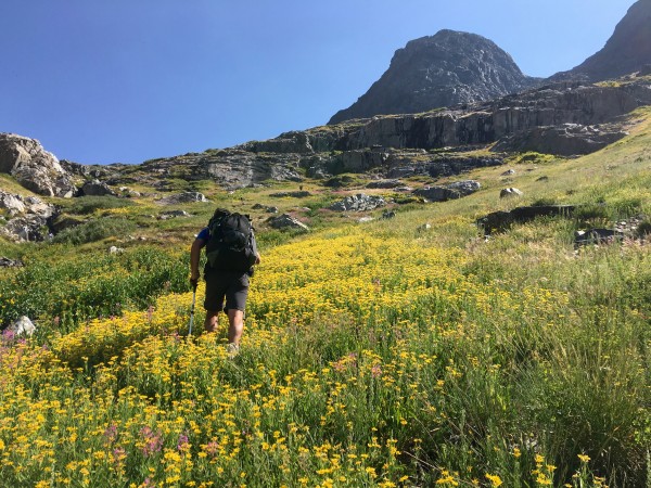 Hiking up flowery hillside above the big lake &#40;name&#41; in Goddar...