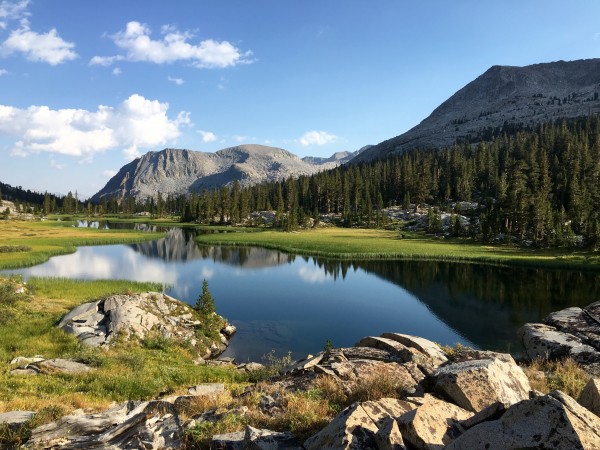 Meadow at 10,100 feet in Goddard Creek Canyon.