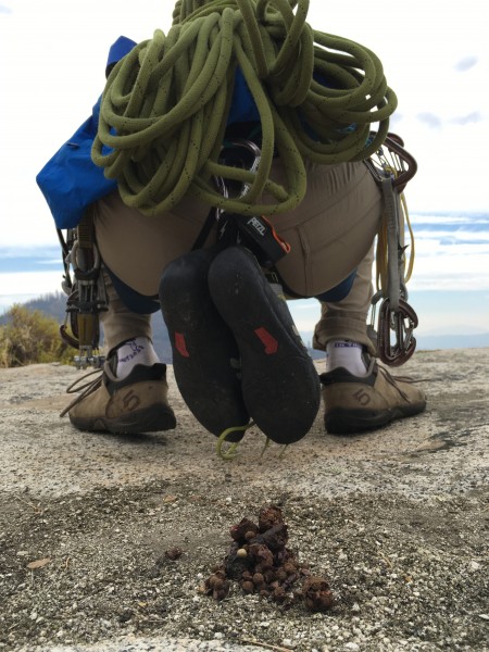 Coyote scat seen on the way out while Adam ties his shoes