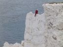 Skeleton Ridge, The Needles - Isle of Wight - Click for details