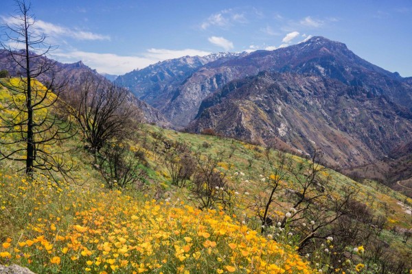 springtime confluence view. some formations of the gorge seen in upper...