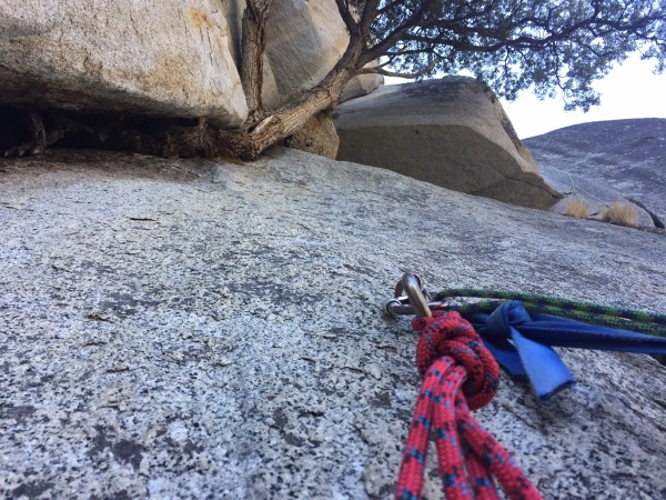 The 9th belay.  Trees on big walls are a wonderful reminder that life ...