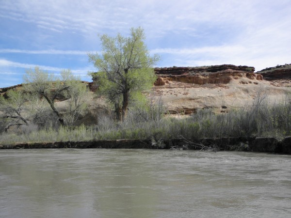 The gradient may be low, but the water she is high and the current is ...