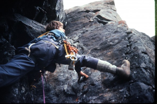 And a ridiculously wide stem was had by all.  The orange lichen-covere...