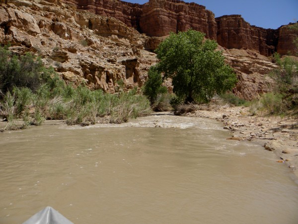 I WISH the last few miles were as nice a paddle as the first few miles...