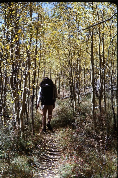 The Lost Park trail meanders from aspen grove to alpine meadow in idyl...