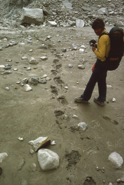 The Mustagh Glacier cache boulder and the comings and goings of Ursus ...