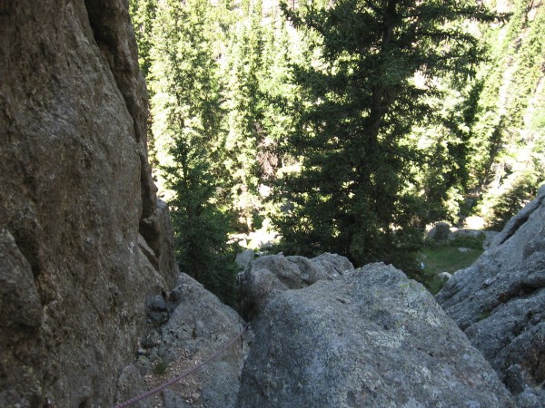 Top of pitch 1 above the huge spruce.