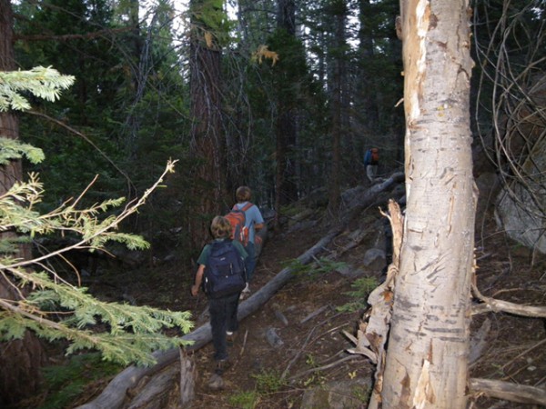 Threading through the trees on the way to Lost Lake