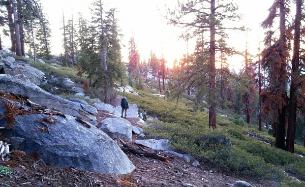 Enjoying our trail work on the way back to camp