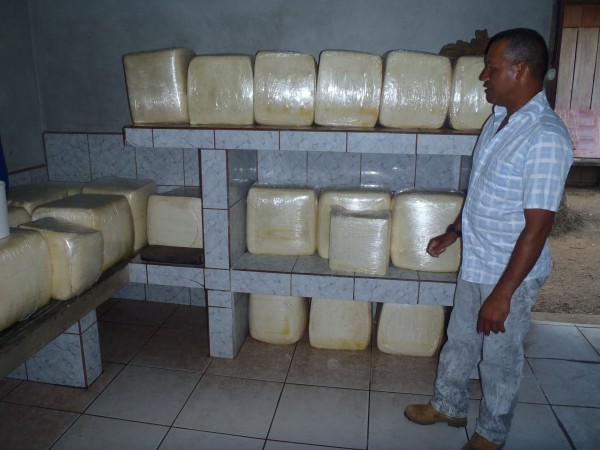 Rancher showing me his cheese making operation