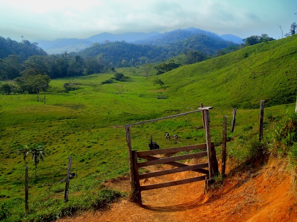 Upper Tolito valley